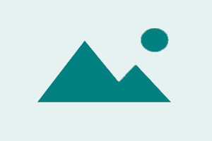 Z3X Sams Tool DIGITAL (1 YEAR)